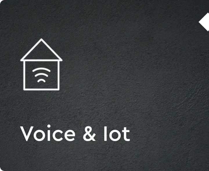 voice_iot